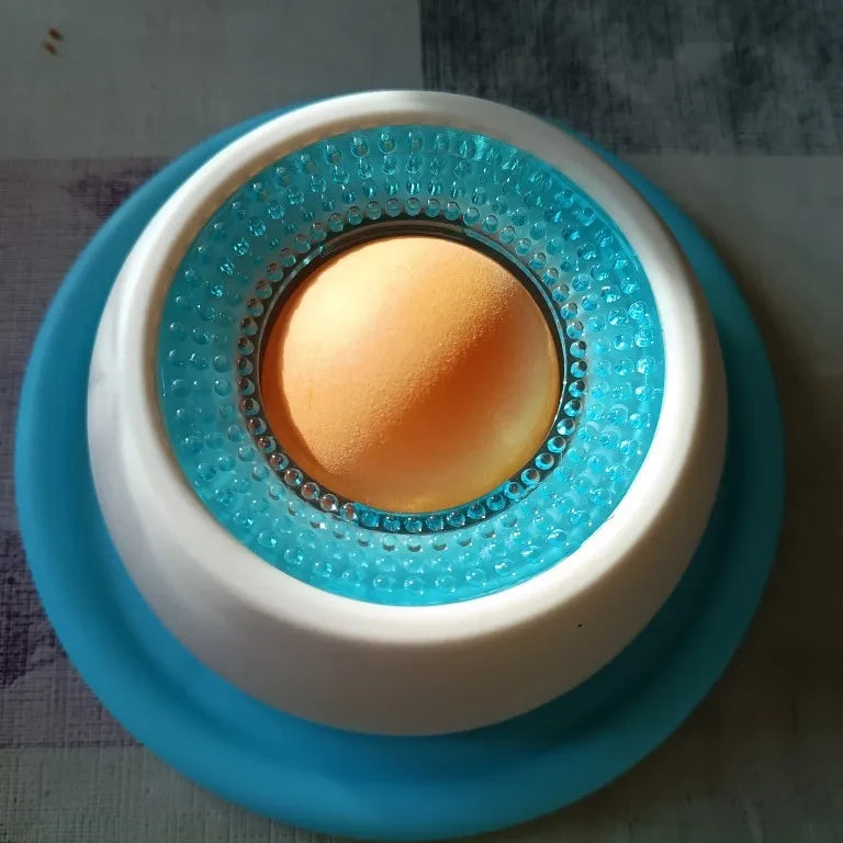 Interactive Pet Lick Toy