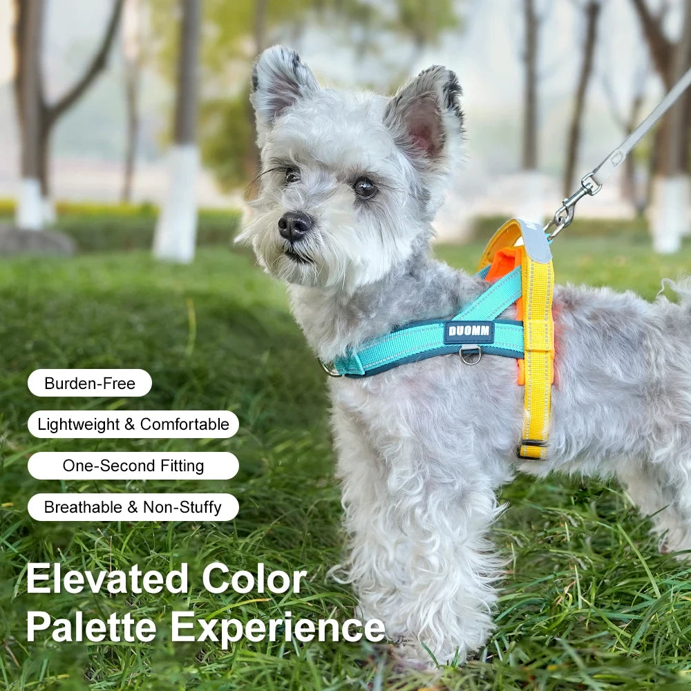T-Shape No-Pull Dog Harness