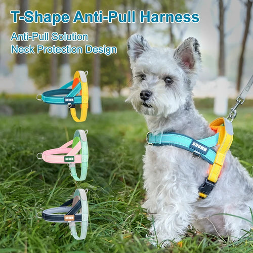 T-Shape No-Pull Dog Harness