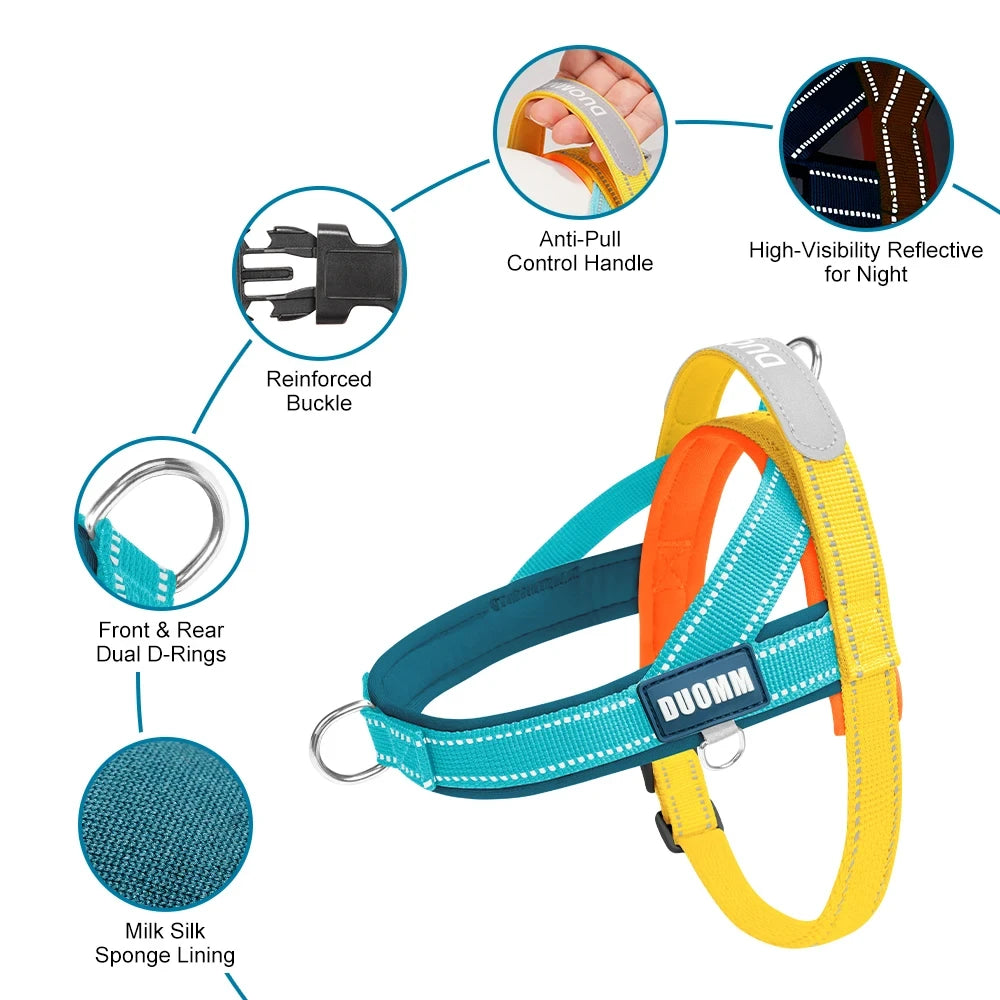 T-Shape No-Pull Dog Harness