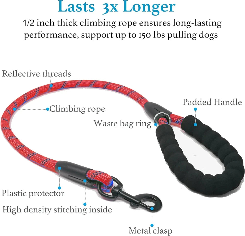 Dual Dog Leash