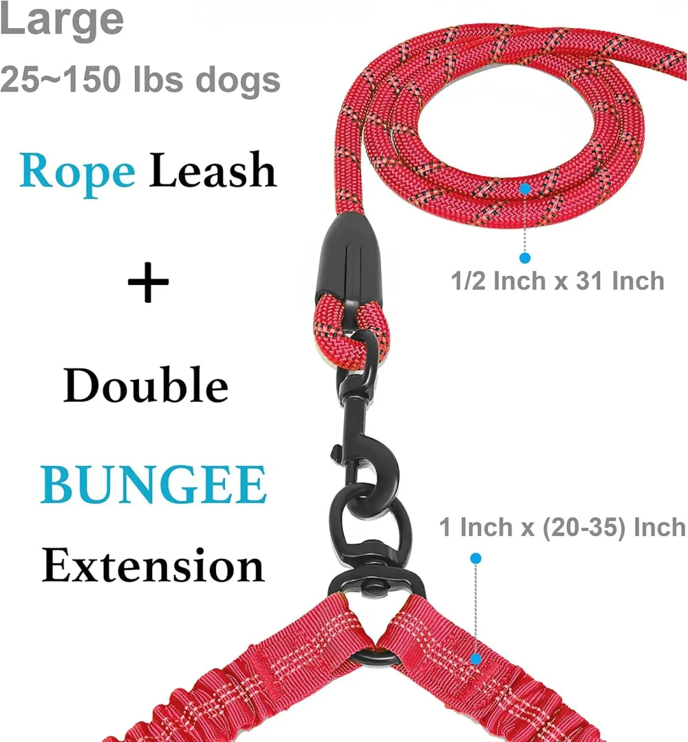 Dual Dog Leash