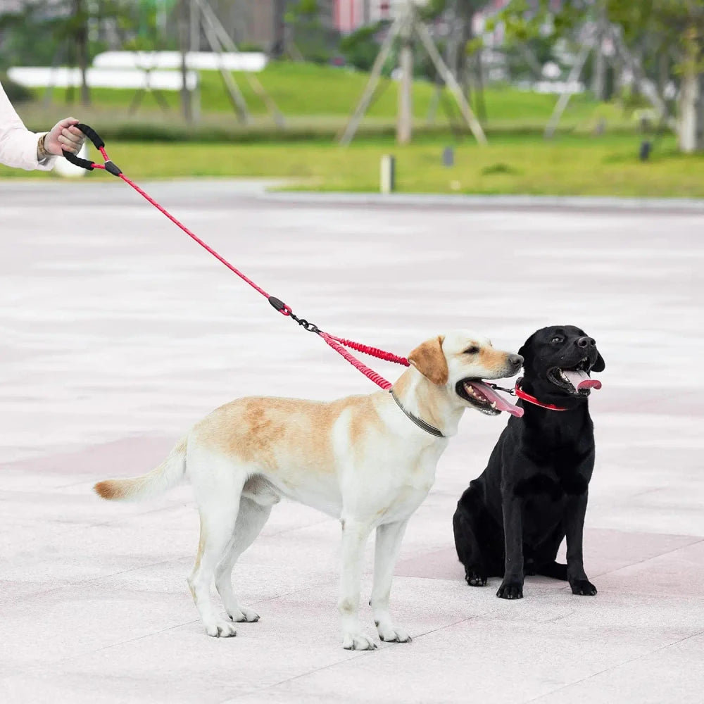 Dual Dog Leash