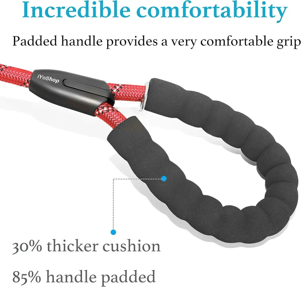 Dual Dog Leash
